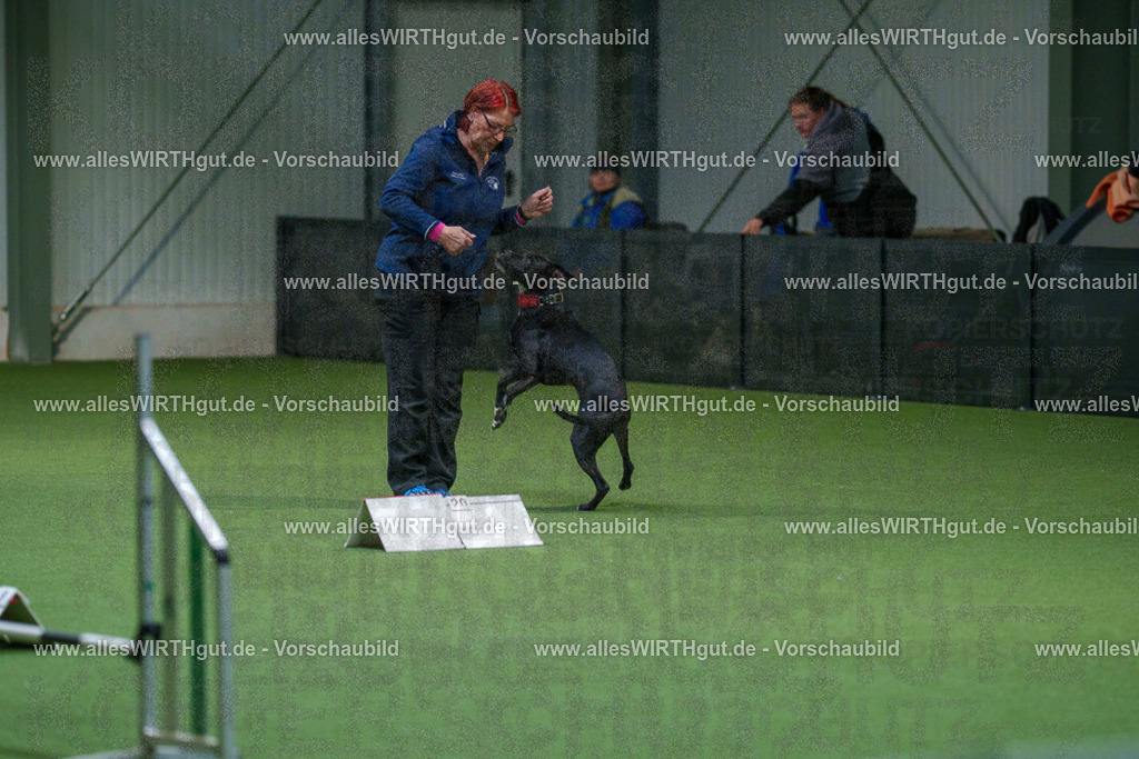 7R503265 | Professionelle Tierfotografie in Mönchengladbach von Daniel Wirth (allesWIRTHgut). Liebevolle & natürliche Bilder von Hunden & Katzen für unvergessliche Erinnerungen.