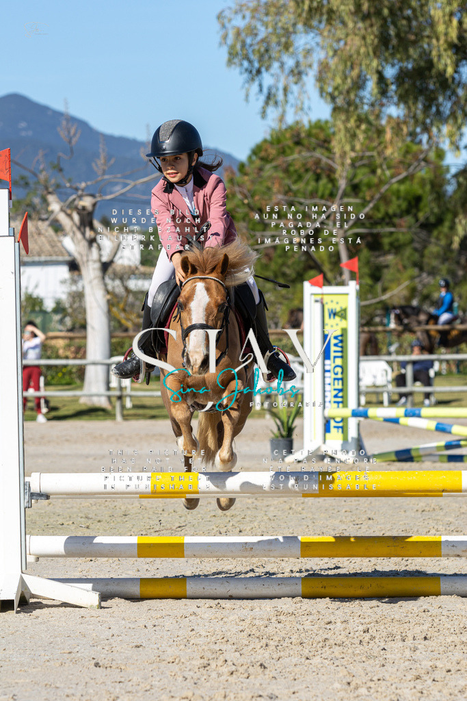 IMG_8774 | s-jay-photography - Realisiert mit Pictrs.com