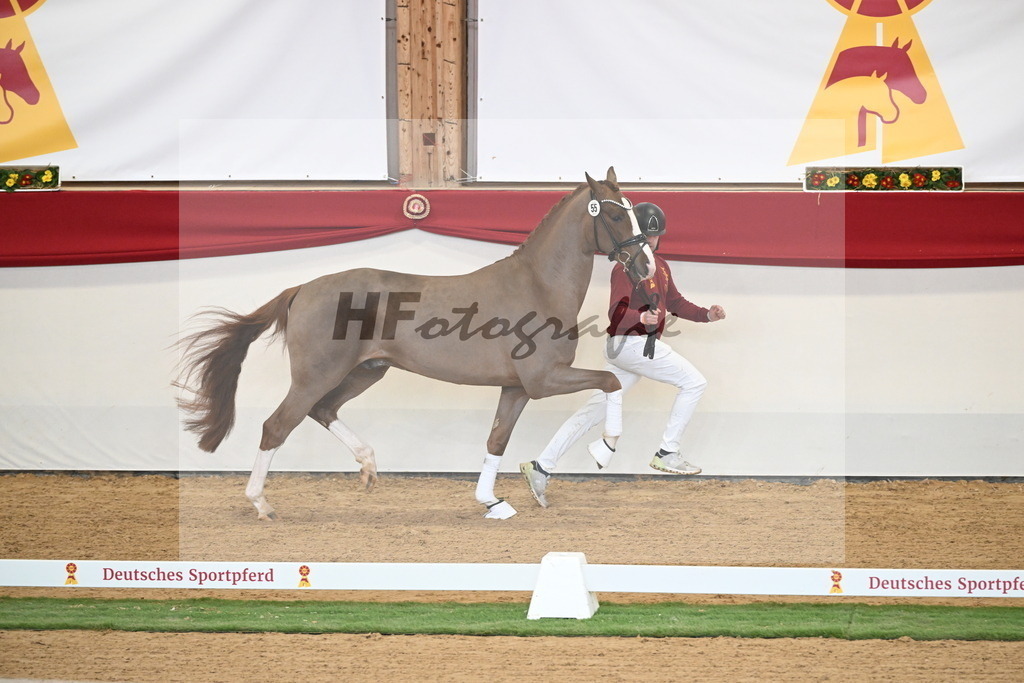 Kat.-Nr. 55 v. Ellis_Senf _ Kampmann_2250399 | hf-fotografie - Realisiert mit Pictrs.com