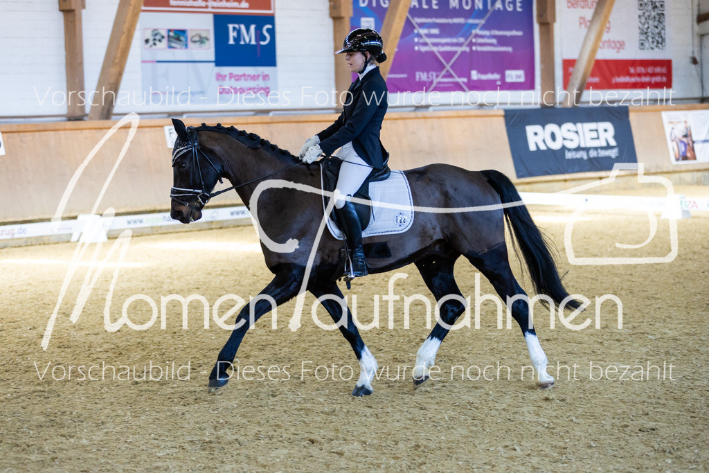 Sth-LPO25-DrR-L-149 | MomenTaufnahmen Pferdesportfotos