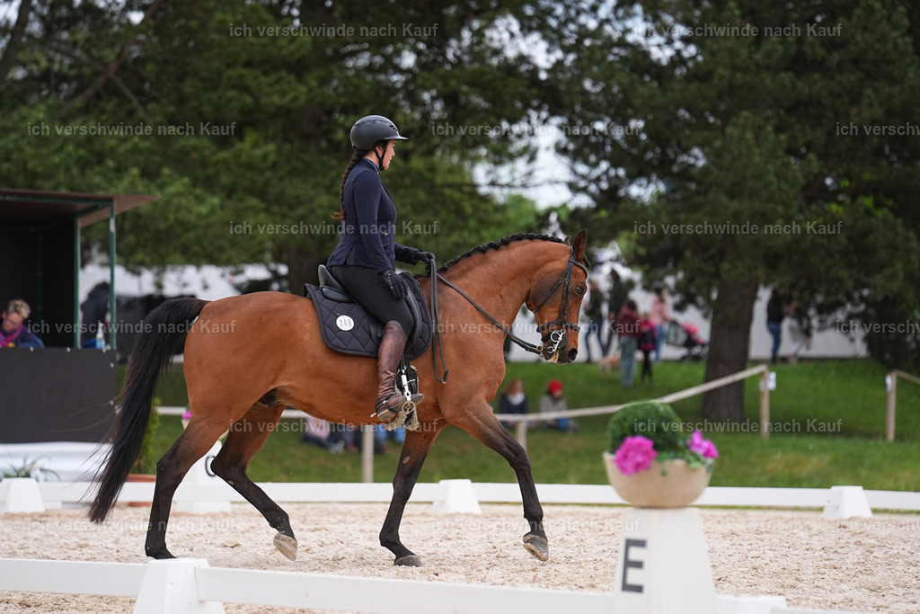 PI26_DR_248_Stoibphotography_SIN00412.jpg | working equitationturnier fotograf videograf stoibphotography marixx film working equitation deutschland reitsport turnierfotografie eventfotografie equestrian events