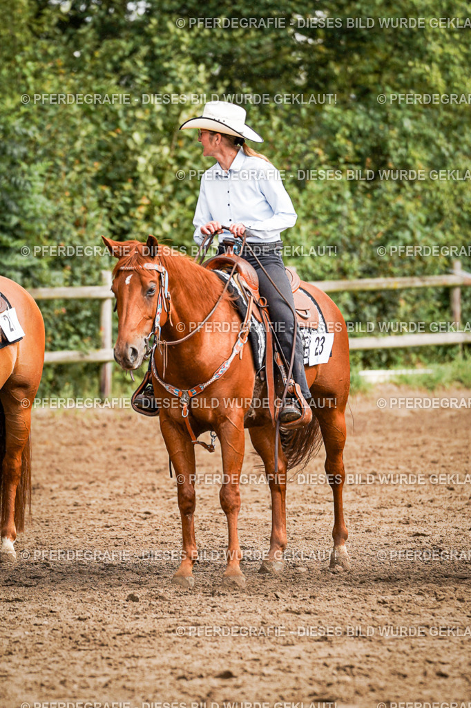 DSC09232 | Pferdegrafie