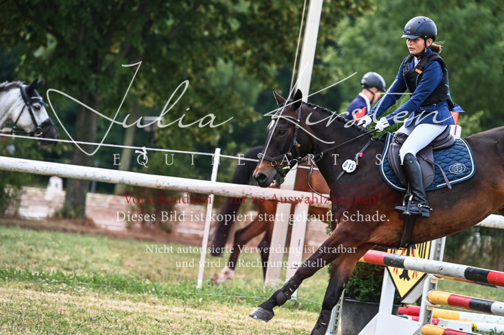 DSC_8228 | Pferde- und Turnierfotografie in Westsachsen. Pferdeportraits, Auftragszeichnungen und intuitive Kunst.