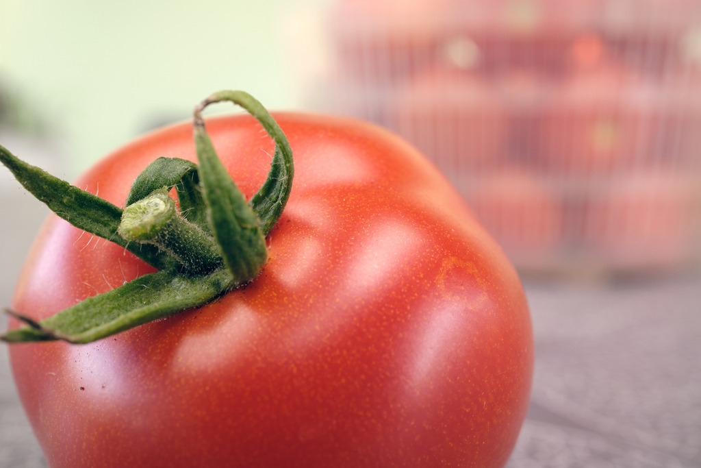Korb mit geernteten roten Tomaten | Burgenland, Austria - July 23, 2023: Korb mit geernteten roten reifen Tomaten auf dem Tisch stehend. - Realisiert mit Pictrs.com
