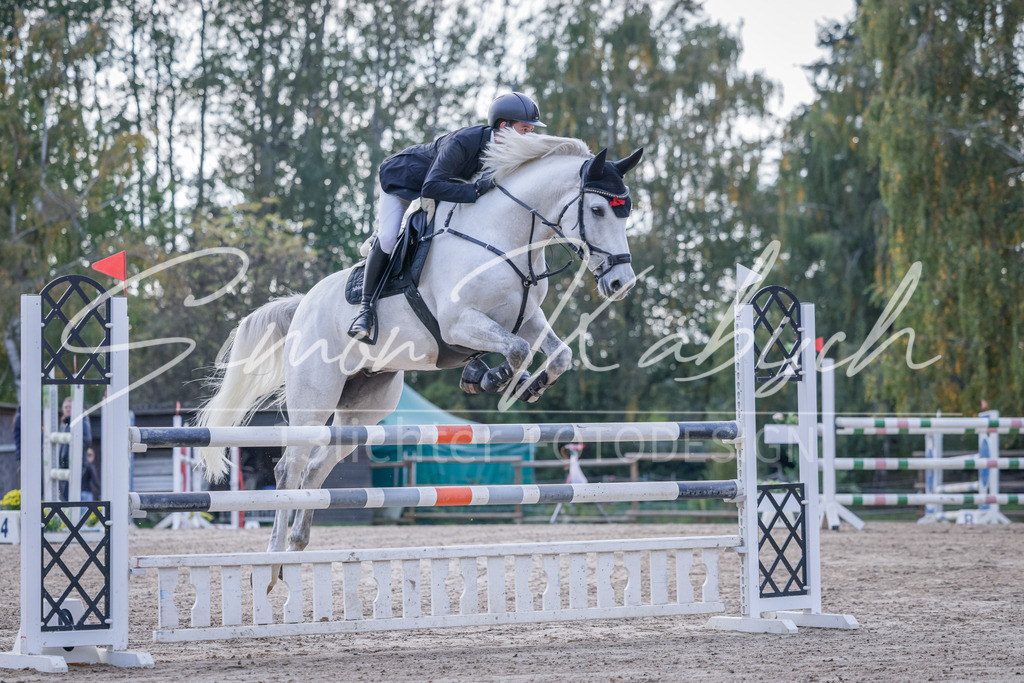 20251012-_3LI5530 | Tierfotografie Pferde, Hunde, Katzen, Haustiere.
Turnierfotografie Reitturniere, Reiten, Springreiten, Dressur in Hanau, dem Main-Kinzig-Kreis und dem Rhein-Main- Gebiet um Frankfurt