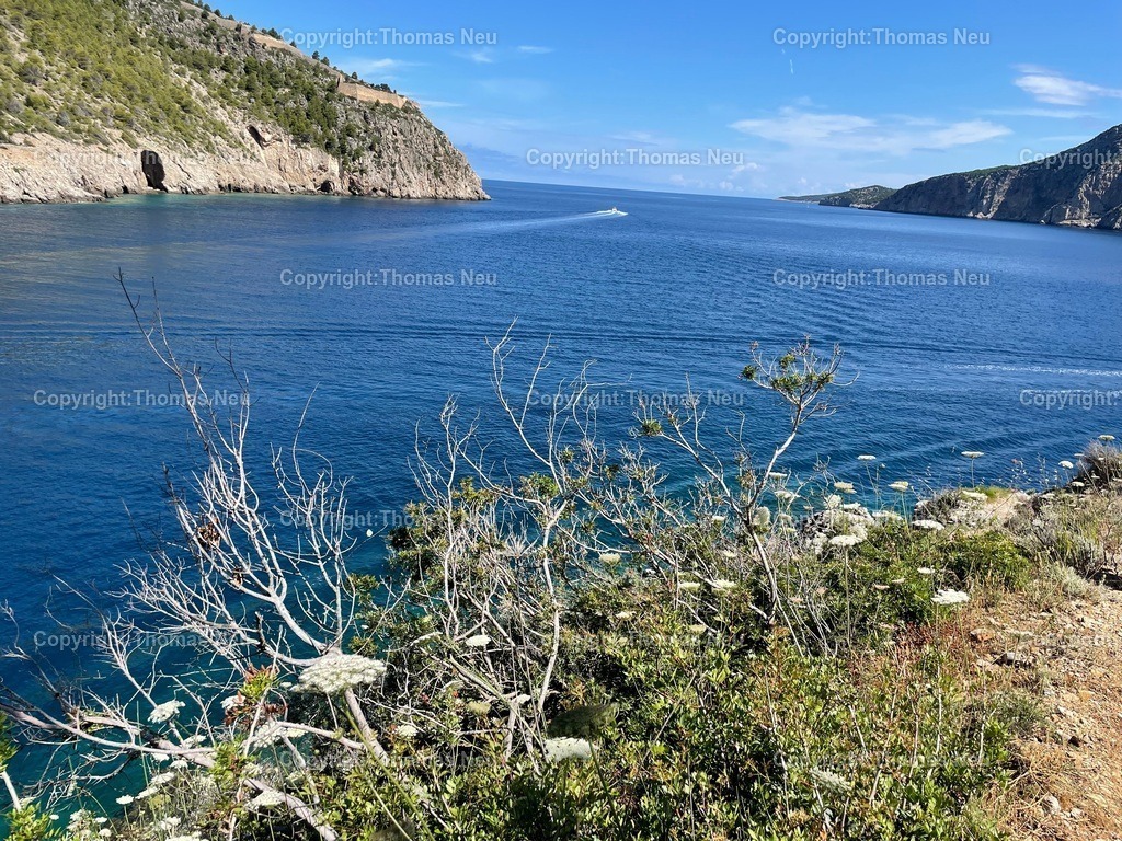 IMG_3823 | Hochwertige Fotografien aus Bensheim, der hessischen Bergstraße und dem Odenwald. Stadtansichten, Landschaften und historische Motive von Fotograf Thomas Neu- als Datei und Print erhältlich