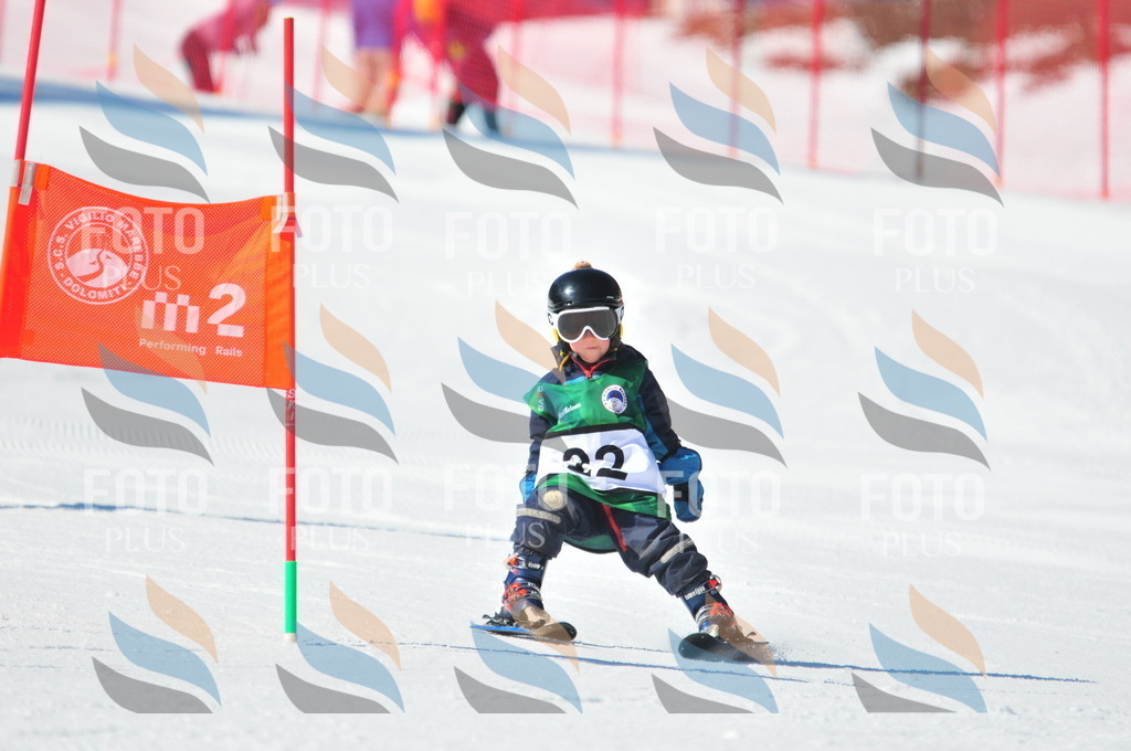 C2535 | holidayphoto