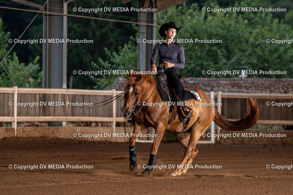 Erbach Tag 1-1303 | dv-media-shop - Realisiert mit Pictrs.com