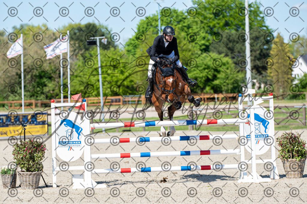 KPT_1371 | andre_photographic