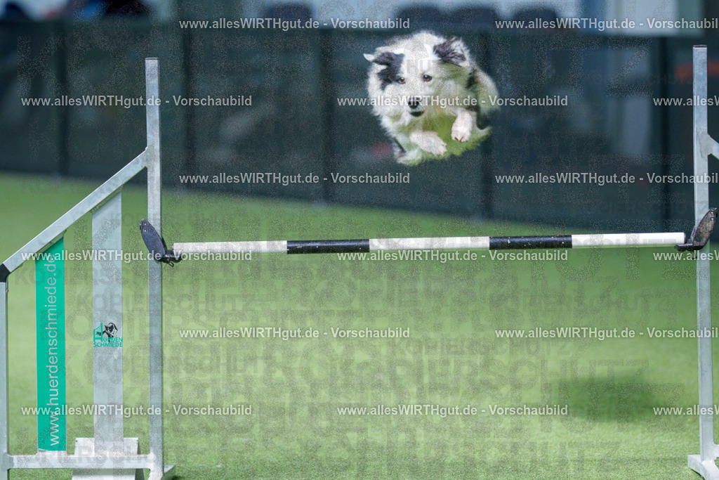 @allesWIRTHgut_Tierfotografie - www.allesWIRTHgut.de - 2604251349-7R504074 | Professionelle Tierfotografie in Mönchengladbach von Daniel Wirth (allesWIRTHgut). Liebevolle & natürliche Bilder von Hunden & Katzen für unvergessliche Erinnerungen.