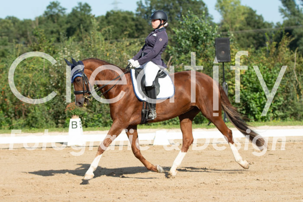 IMG_0560 | Creatify Fotografie