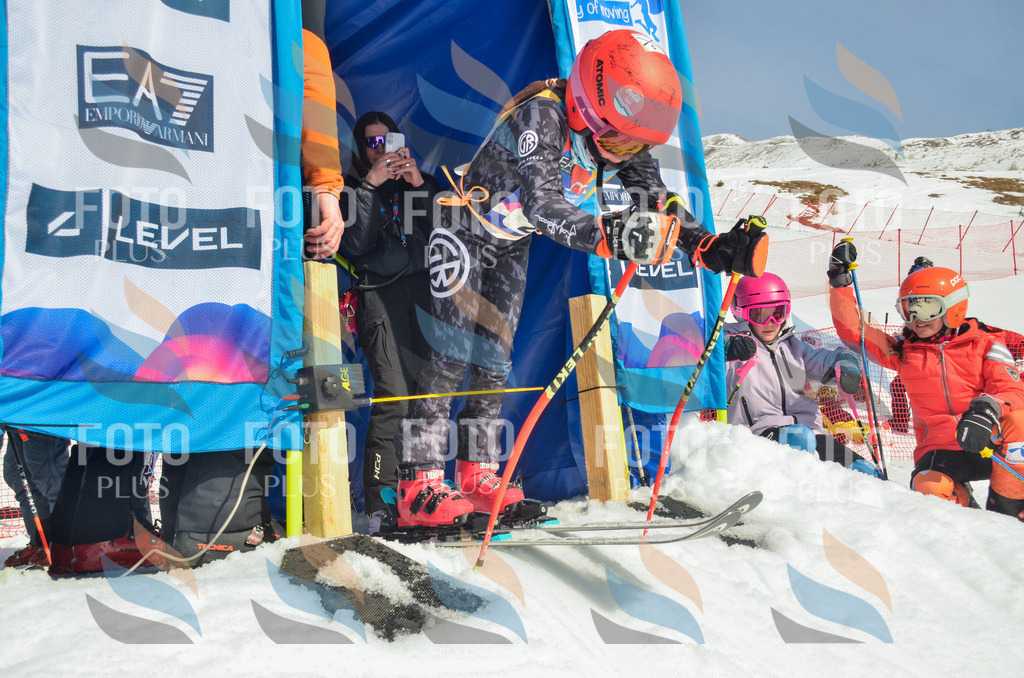 _ELE4845 | holidayphoto