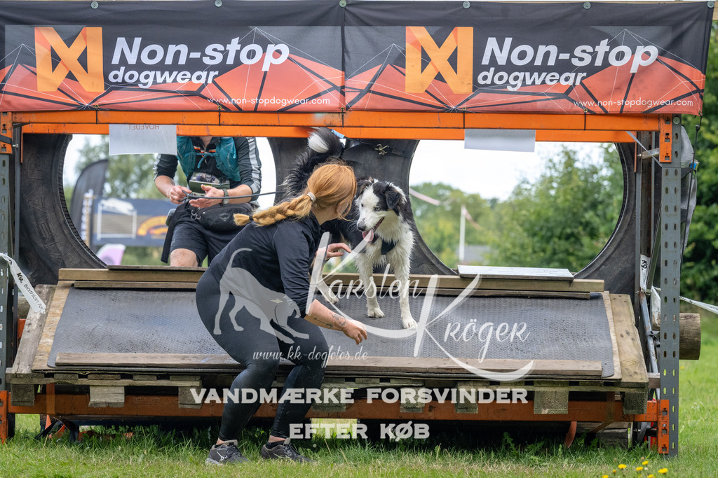 1259_ZZ94506 | kk-dogfotos