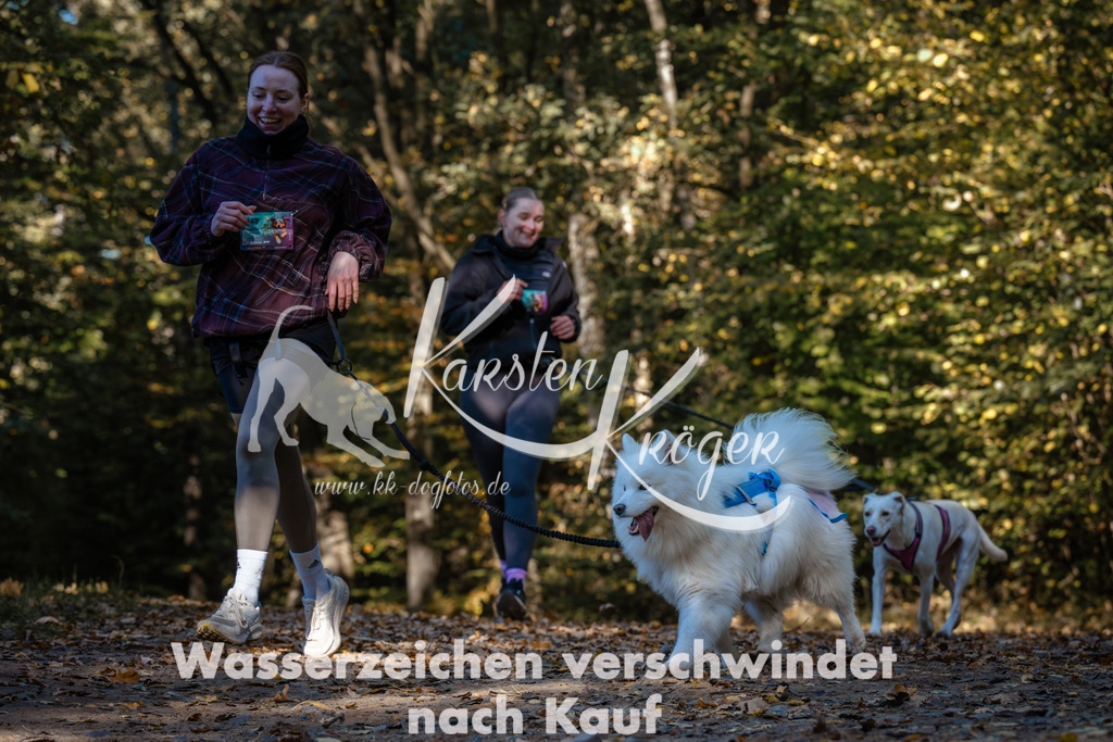 1118_ZZ91975 | kk-dogfotos