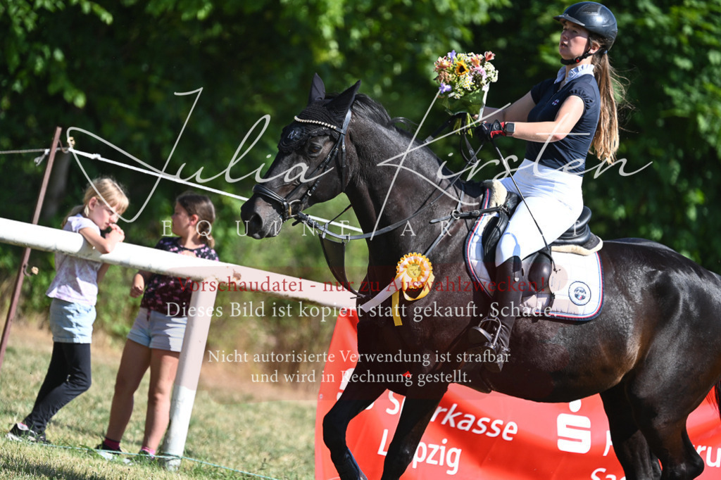 DSC_1804 | Pferde- und Turnierfotografie in Westsachsen. Pferdeportraits, Auftragszeichnungen und intuitive Kunst.