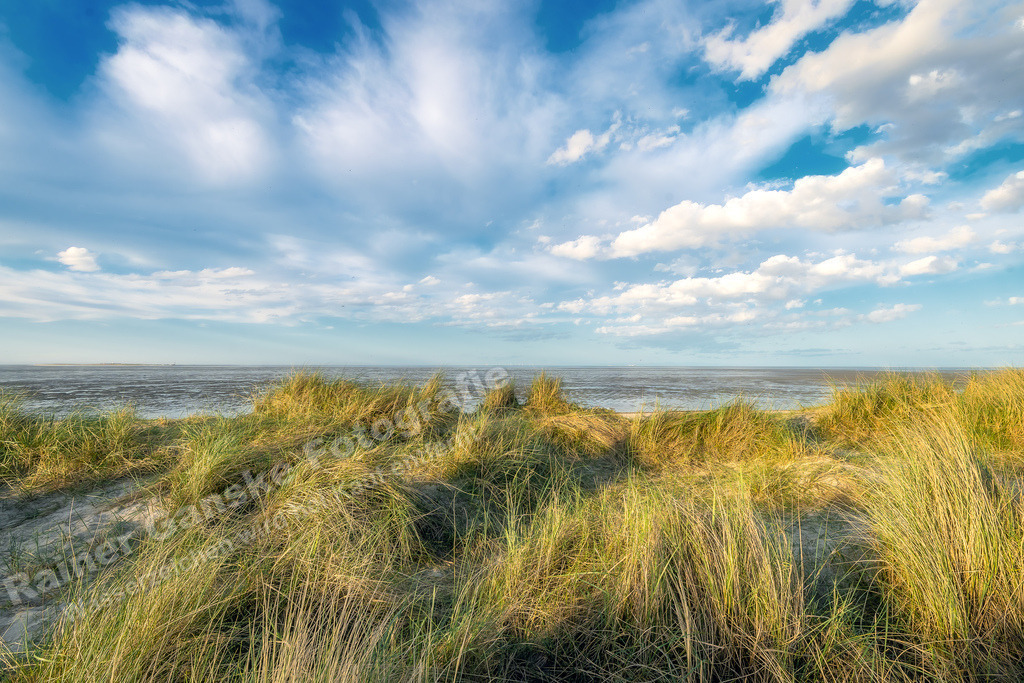 054 Schillig - 07-04-2024 -R Ganske | Onlineshop mit Bildern von Stränden, Häfen und Meer. Leinwände, Poster, Kalender und andere Materialien erhältlich. Kommerzielle Lizenzen möglich.  - Realisiert mit Pictrs.com
