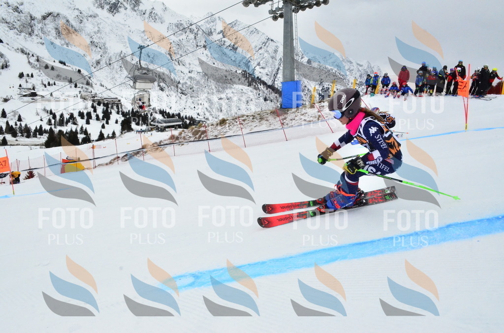 _ELE3165 | holidayphoto