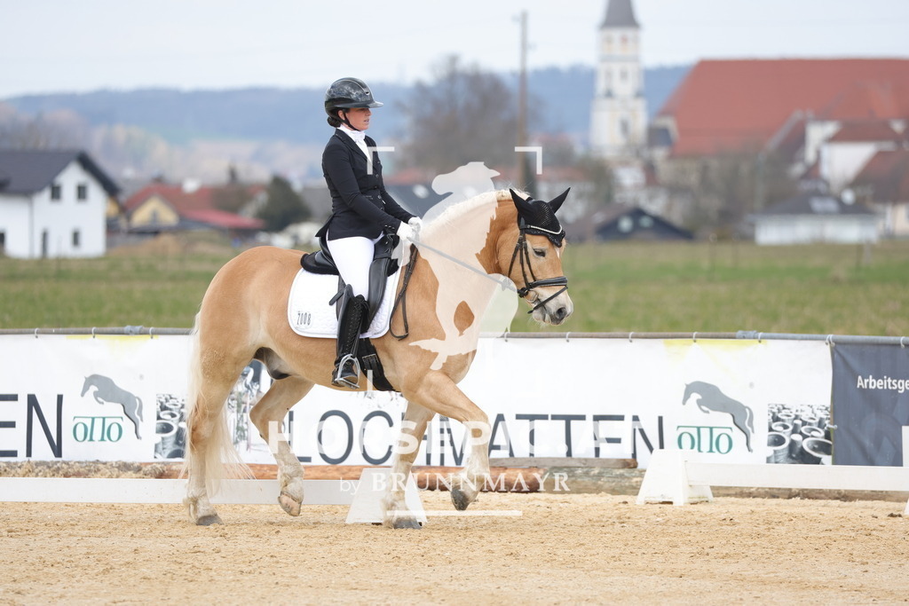 0P6A6932 | Willkommen bei Brunnmayr - Design & Fotografie – Ihrem Spezialisten für Reitturniere und Pferdeveranstaltungen in Oberösterreich, Salzburg und Bayern! Seit über 17 Jahren sind wir leidenschaftlich dabei.