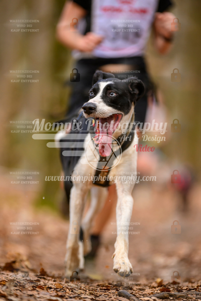 MompixPhotography_Habay2025_SA_CCC-228 | PayLife