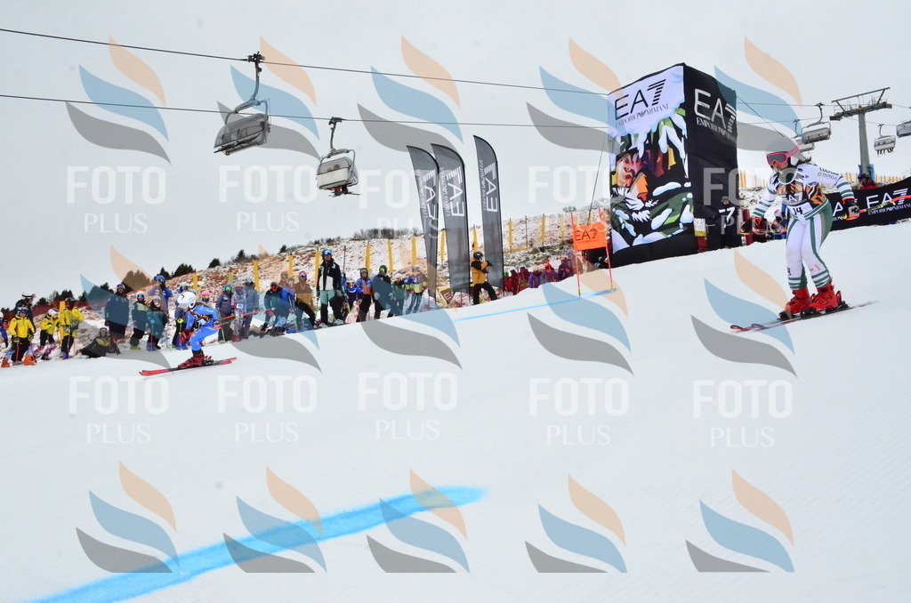 _ELE3189 | holidayphoto