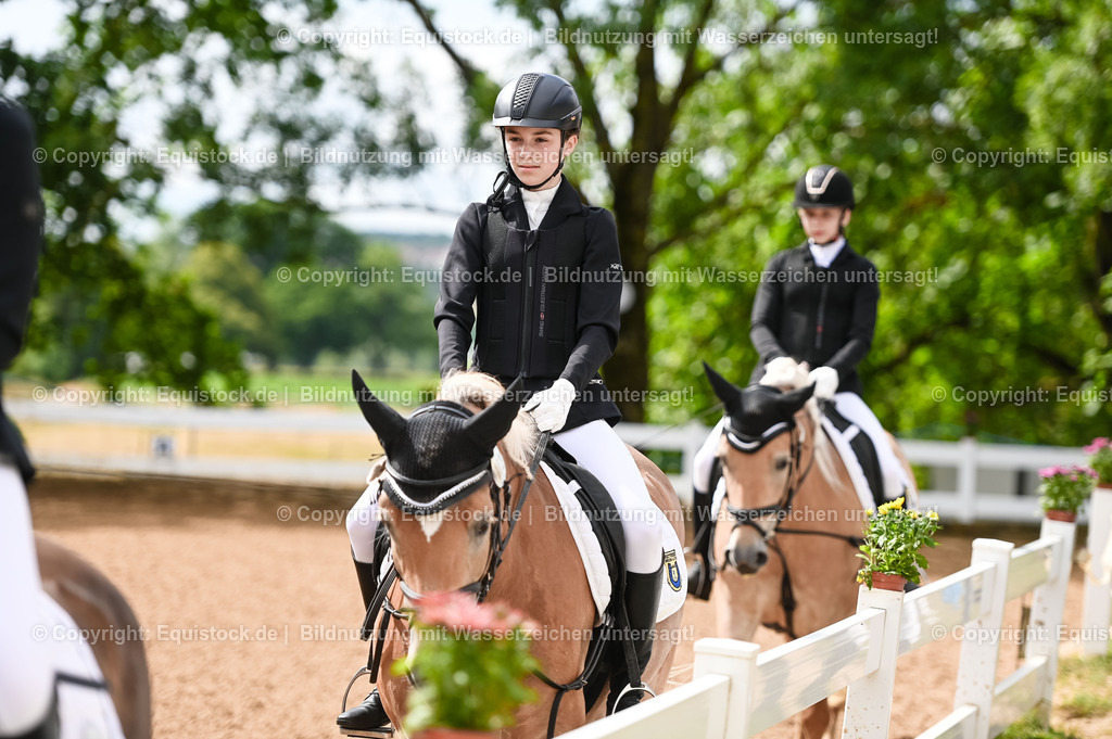 20230716_10-1_Reiter-WB Schritt - Trab - Galopp_0076 | equistock