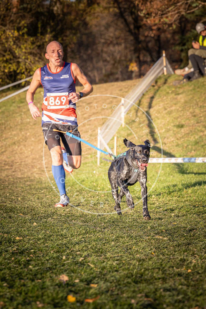 CaniXpix_0L8A1047 | Hundefotografie, Tierfotograf, Pfotenfotografie, Fotoshooting Hund, Hunde Portrait, Hundesport, Hundeportraits, Heideshooting, Hunde, Sportfotograf, Hundefotograf, Turnierhundsport, THS,  - Realisiert mit Pictrs.com