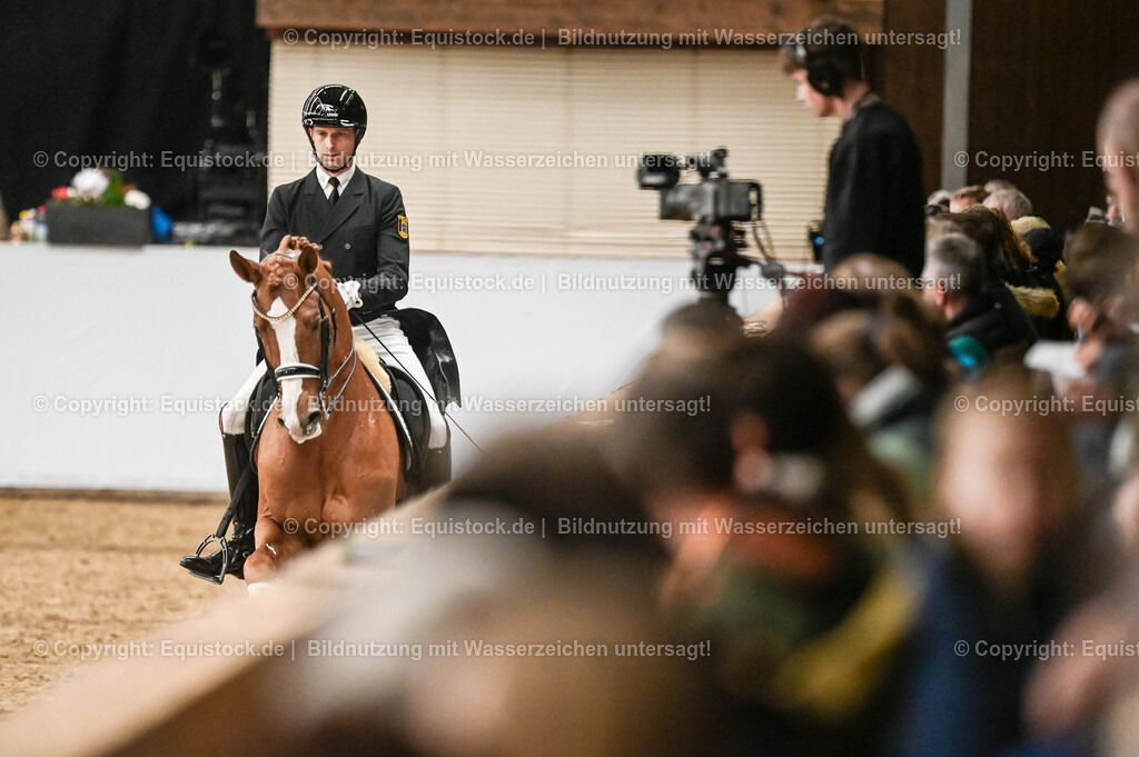 20260307_Hengstvorstellung-Marbach_0314 | equistock