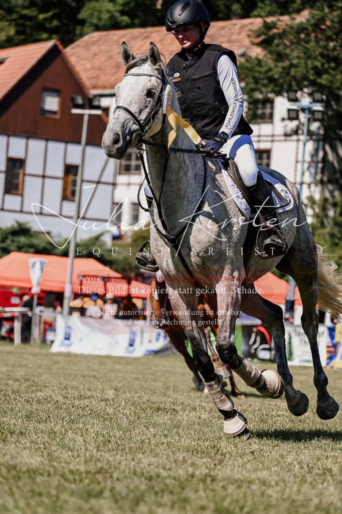 DSC_2582 | Pferde- und Turnierfotografie in Westsachsen. Pferdeportraits, Auftragszeichnungen und intuitive Kunst.