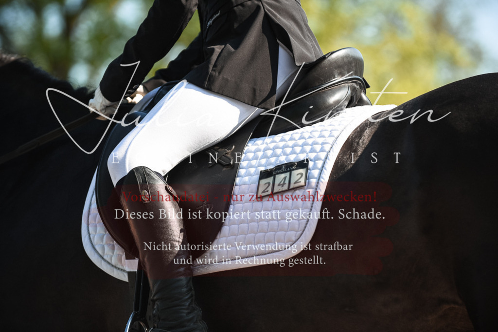 DSC_8313 | Pferde- und Turnierfotografie in Westsachsen. Pferdeportraits, Auftragszeichnungen und intuitive Kunst.