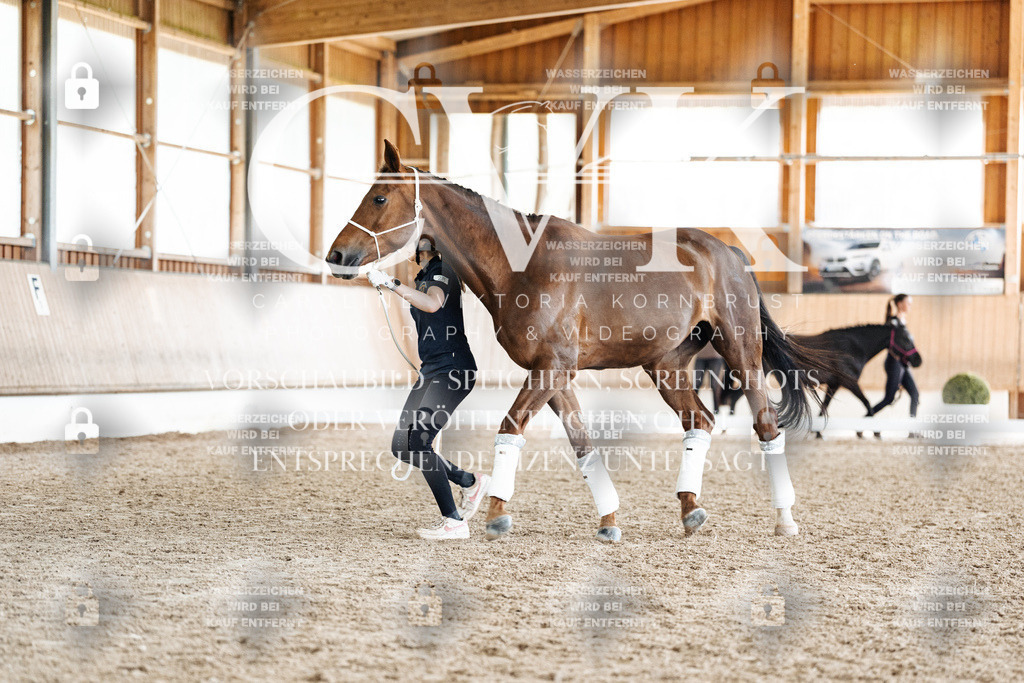 CK908243 | Turnierfotografie Pferdefotografie Trier Rheinland-Pfalz Pferdesport Reitsport Tierfotografie Sportfotografie Pferdevideo Pferdevideografie Equestrianvideography equestrianphotography  - Realisiert mit Pictrs.com