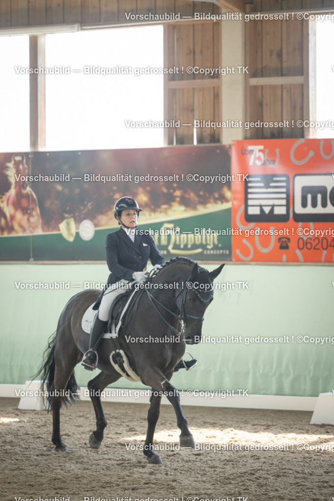 _D5A1559 | Emotionale Pferde- & People-Fotografie rund um Heidelberg, Leimen & Umgebung. Natürliche Fotos von Pferd, Mensch & Familie. Jetzt Termin sichern!