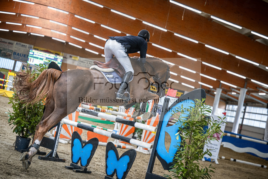DOS_1701 | Entdecke hochwertige Reitturnierfotos von Foto Oger. Professionell, emotional und authentisch – jetzt Lieblingsmomente im Shop bestellen.Deutschlandweite Turnierfotografie. - Realisiert mit Pictrs.com
