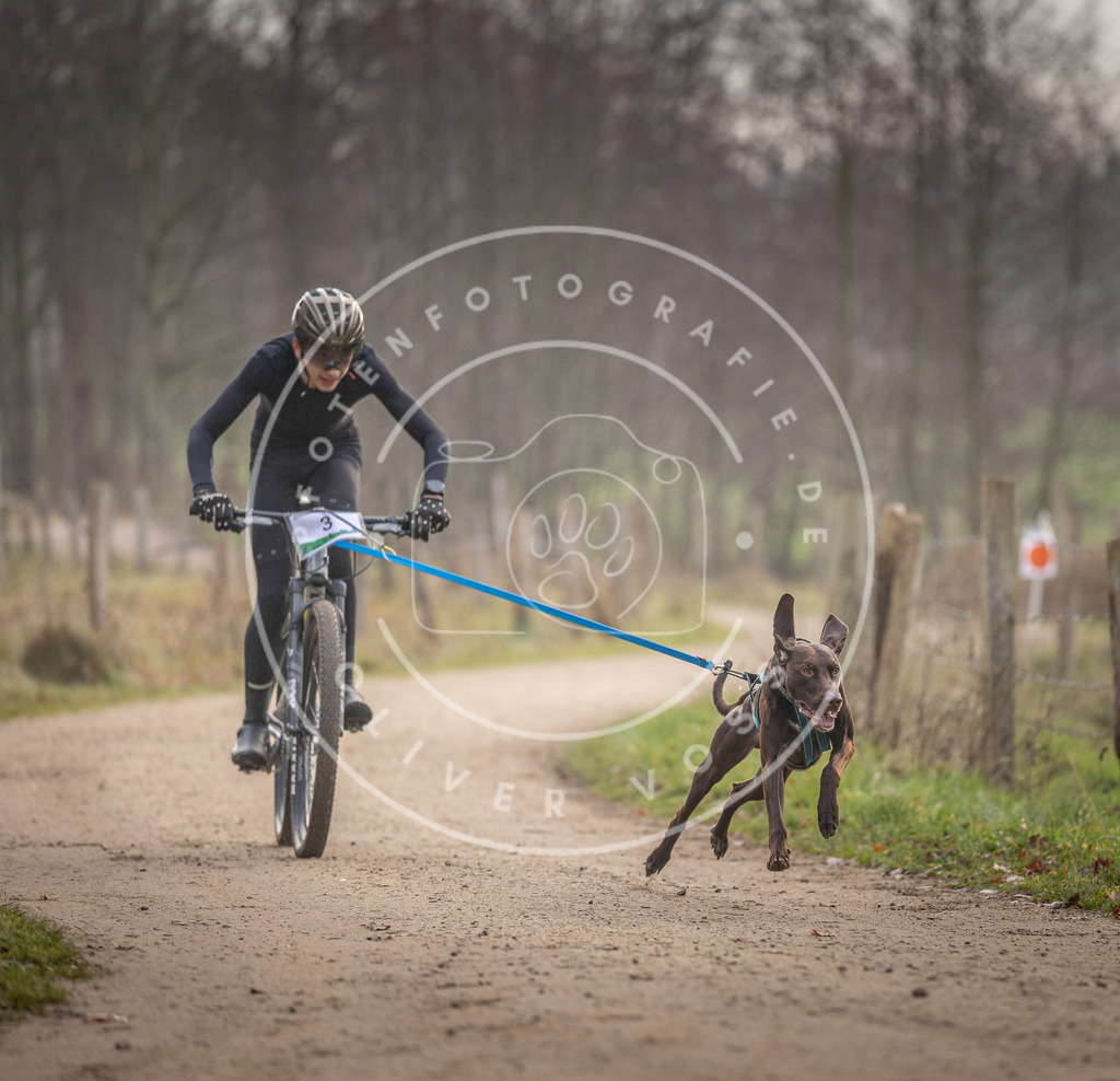 Pfotenfotografie_DV3A1547 | Hundefotografie, Tierfotograf, Pfotenfotografie, Fotoshooting Hund, Hunde Portrait, Hundesport, Hundeportraits, Heideshooting, Hunde, Sportfotograf, Hundefotograf, Turnierhundsport, THS,  - Realisiert mit Pictrs.com