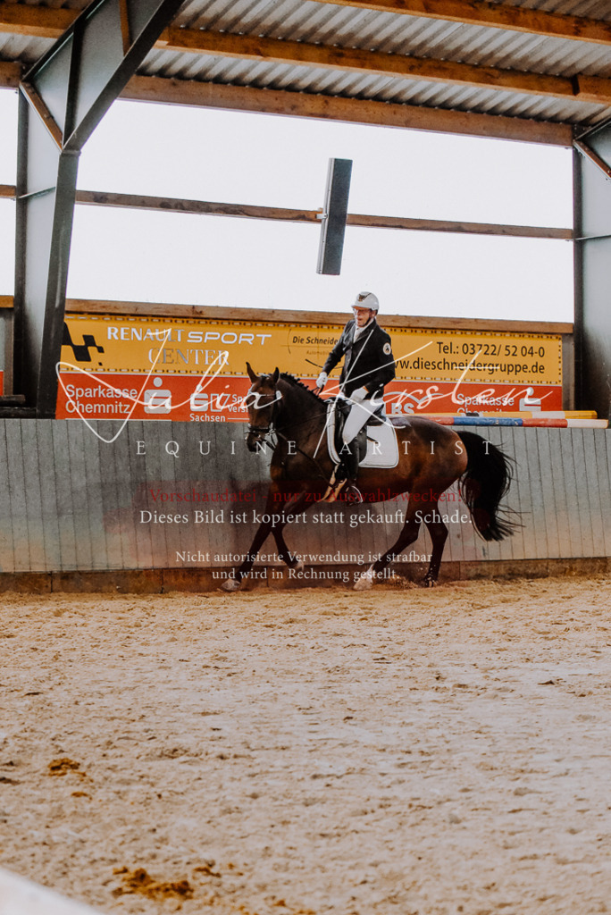 DSC_7715 | Pferde- und Turnierfotografie in Westsachsen. Pferdeportraits, Auftragszeichnungen und intuitive Kunst.