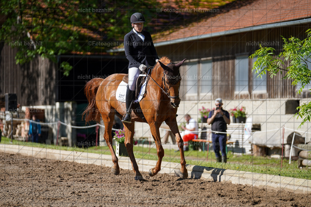 20240519-FAH04500 | Turnierbilder Niederseeon 2024, Vielseitigkeitsdressur, Reitsportbilder aus dem Landkreit Ebersberg, Gut Steinsee, RC Steinsee, Fotoagentur Herrmann