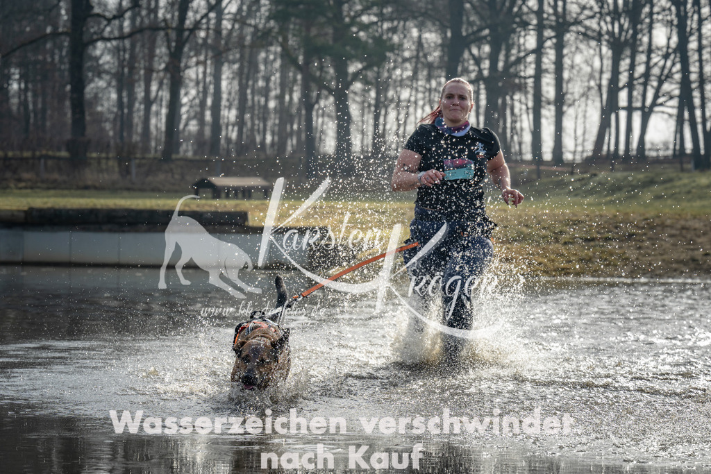 0952_ZZ94458 | kk-dogfotos
