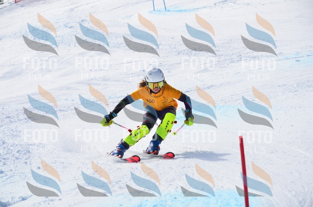 C9458 | holidayphoto