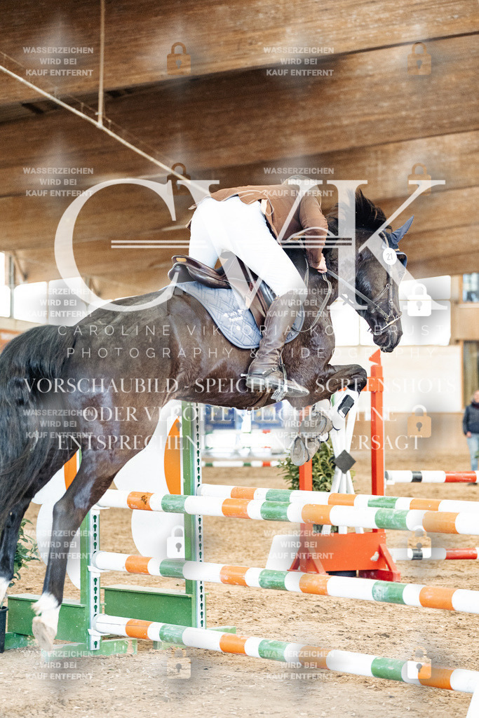 CK905319 | Turnierfotografie Pferdefotografie Trier Rheinland-Pfalz Pferdesport Reitsport Tierfotografie Sportfotografie Pferdevideo Pferdevideografie Equestrianvideography equestrianphotography  - Realisiert mit Pictrs.com