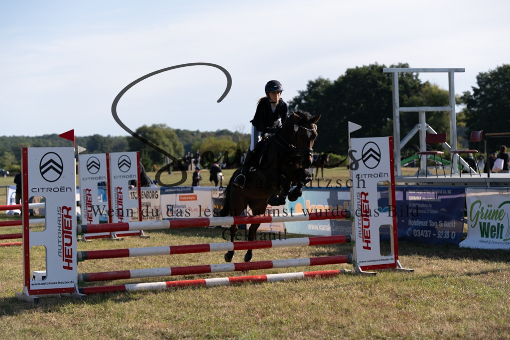 A7V08250 | Pferdefotograf