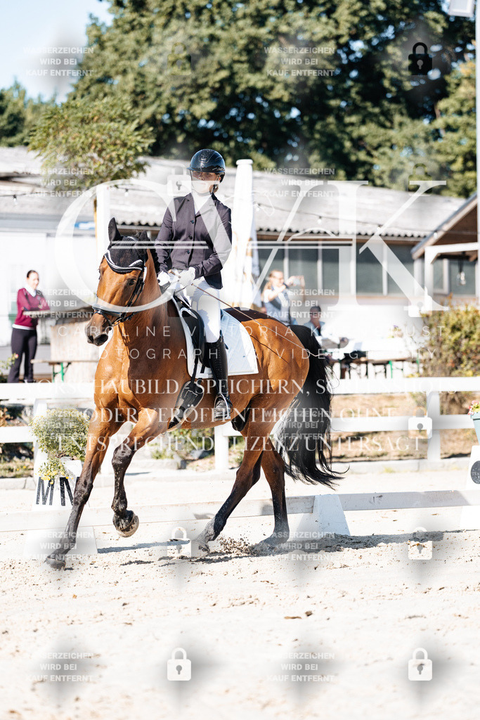 CK908140 | Turnierfotografie Pferdefotografie Trier Rheinland-Pfalz Pferdesport Reitsport Tierfotografie Sportfotografie Pferdevideo Pferdevideografie Equestrianvideography equestrianphotography  - Realisiert mit Pictrs.com