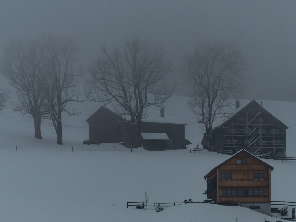 PSX_20230312_002832 | mtkfoto_ - Realisiert mit Pictrs.com