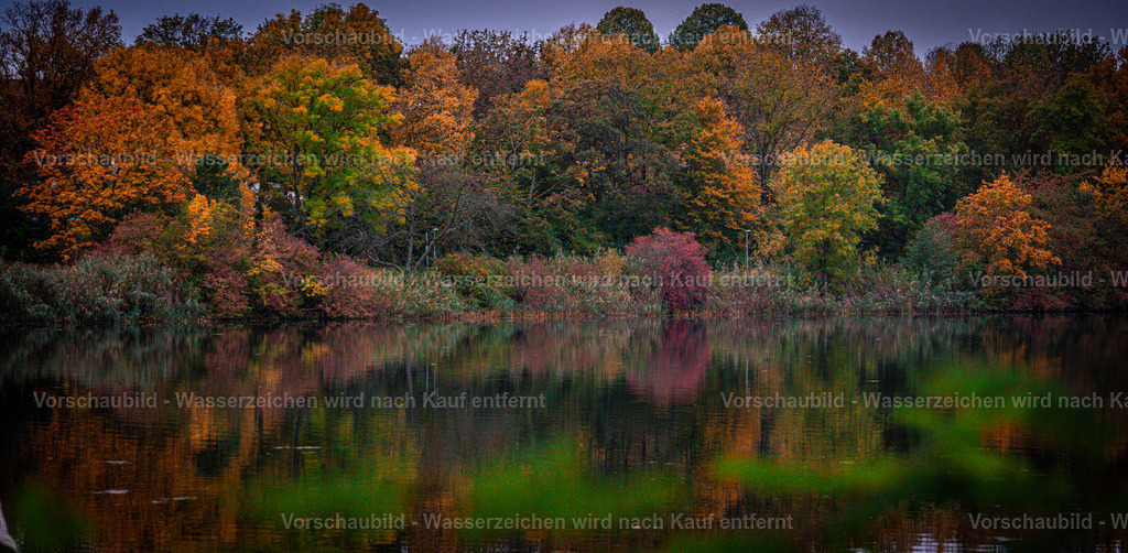 DSC05498 | marcuslinek