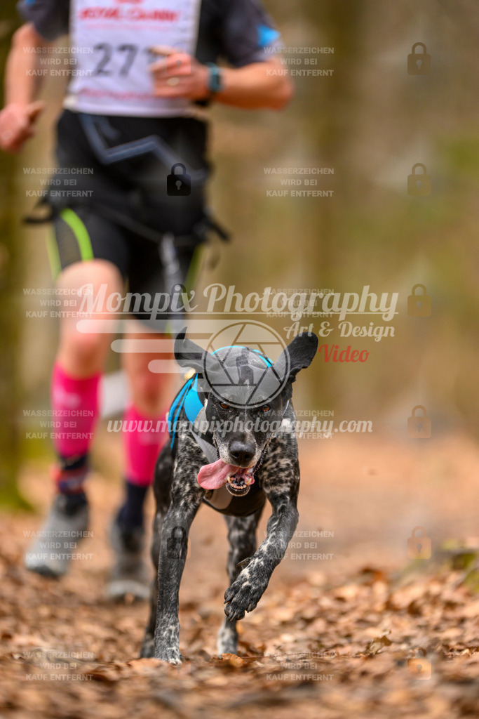 MompixPhotography_Habay2025_SA_CCC-57 | PayLife
