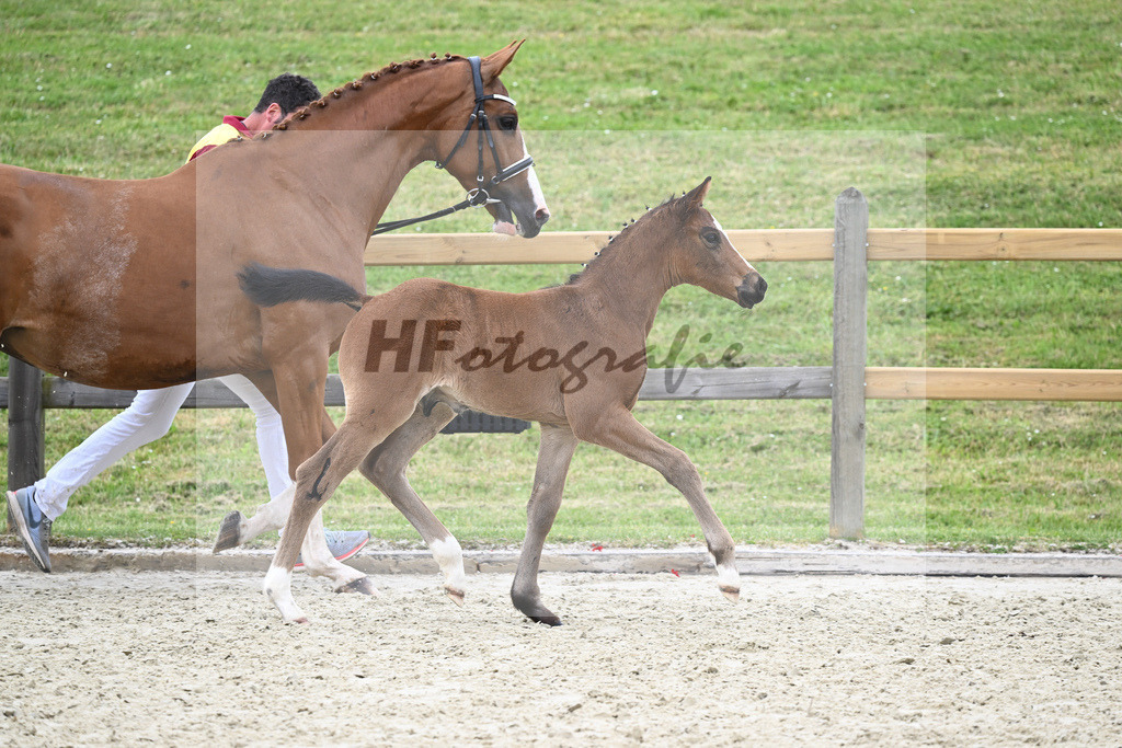 Kat-Nr. 36 HF Sanvaro_Wimmer_17230998 | hf-fotografie - Realizzato con Pictrs.com