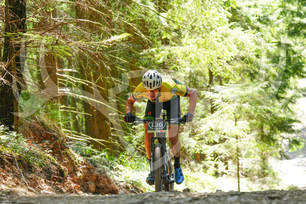 FC604165 | Fotogalerie der Treibjagd im Dunkelwald - Dein MTB Etappenrennen im Erzgebirge - Realisiert mit Pictrs.com