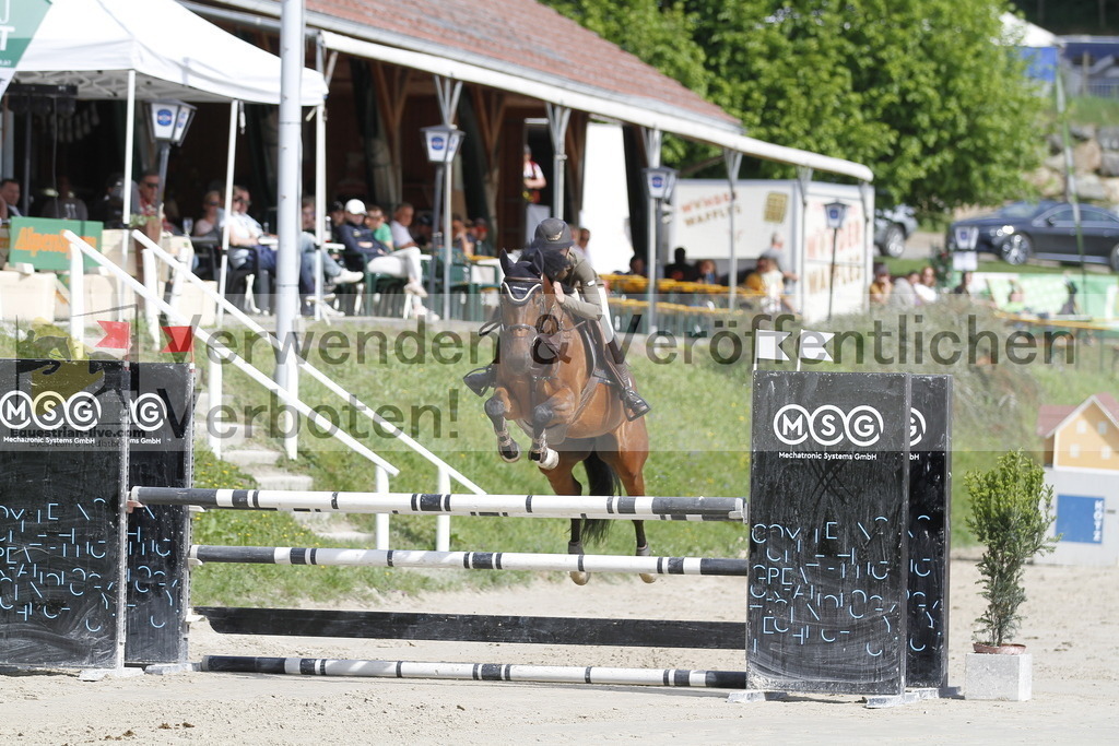 _MG_8787 | equestrian-live-com