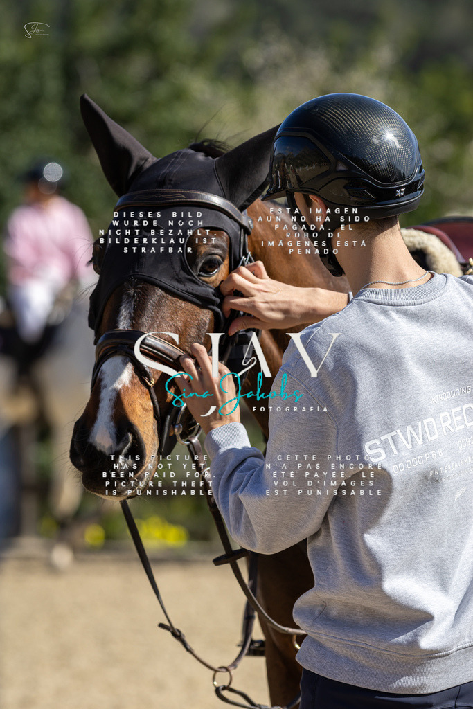 IMG_6356 | s-jay-photography - Realisiert mit Pictrs.com