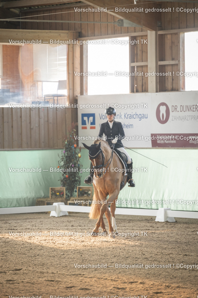 _D5A3981 | Emotionale Pferde- & People-Fotografie rund um Heidelberg, Leimen & Umgebung. Natürliche Fotos von Pferd, Mensch & Familie. Jetzt Termin sichern!