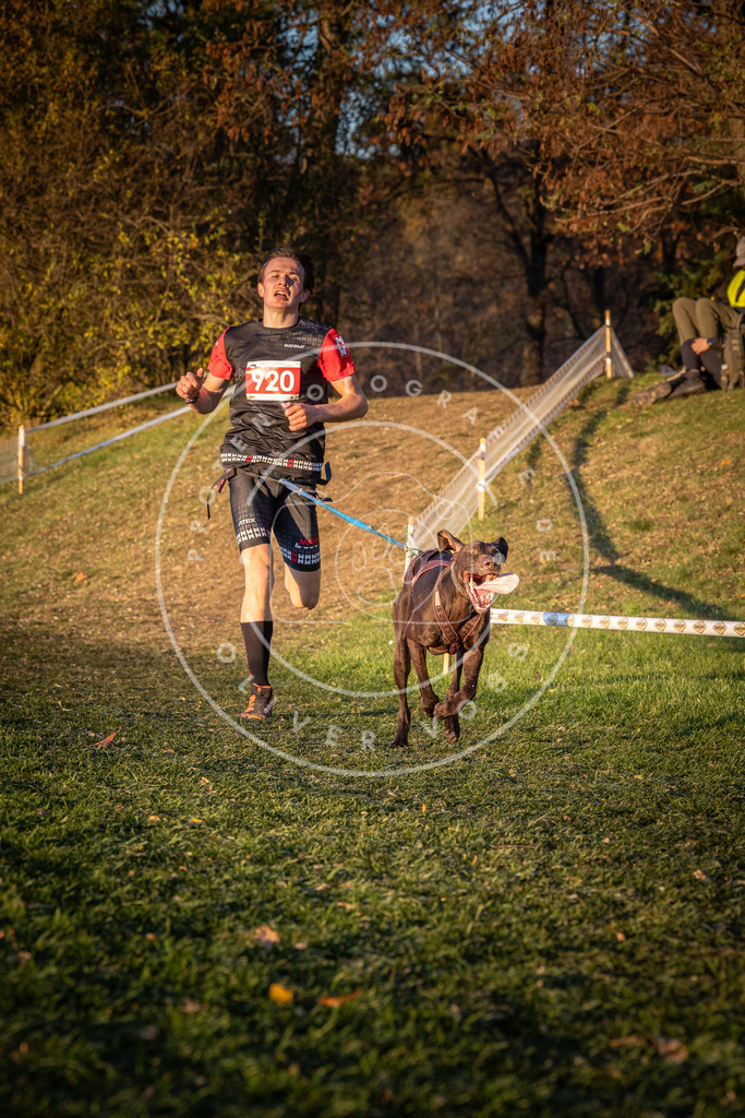 CaniXpix_0L8A1568 | Hundefotografie, Tierfotograf, Pfotenfotografie, Fotoshooting Hund, Hunde Portrait, Hundesport, Hundeportraits, Heideshooting, Hunde, Sportfotograf, Hundefotograf, Turnierhundsport, THS,  - Realisiert mit Pictrs.com