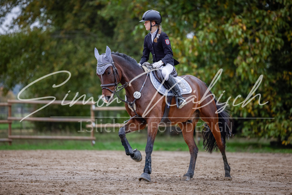 20251012-_3LI3363 | Tierfotografie Pferde, Hunde, Katzen, Haustiere.
Turnierfotografie Reitturniere, Reiten, Springreiten, Dressur in Hanau, dem Main-Kinzig-Kreis und dem Rhein-Main- Gebiet um Frankfurt